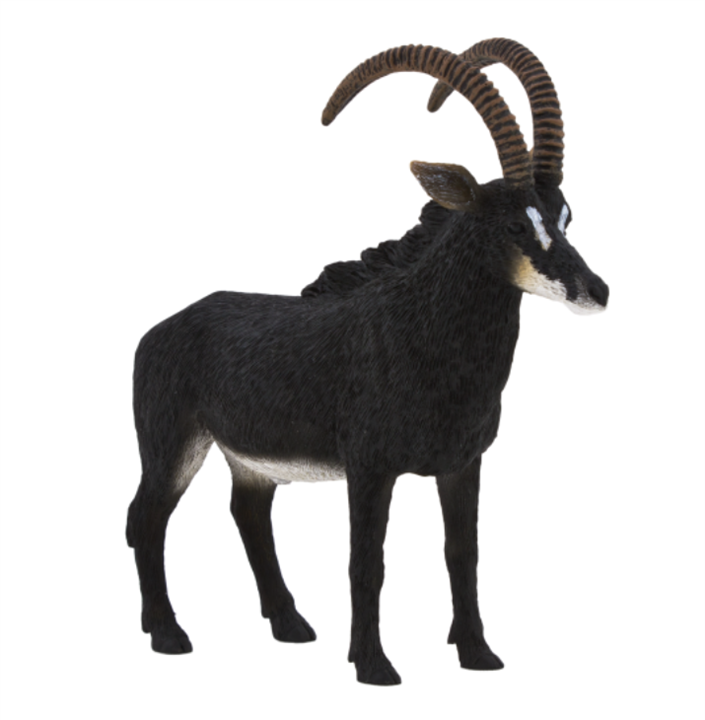 بز کوهی بزرگ سیاه موجو  Giant Sable Antelope 387145